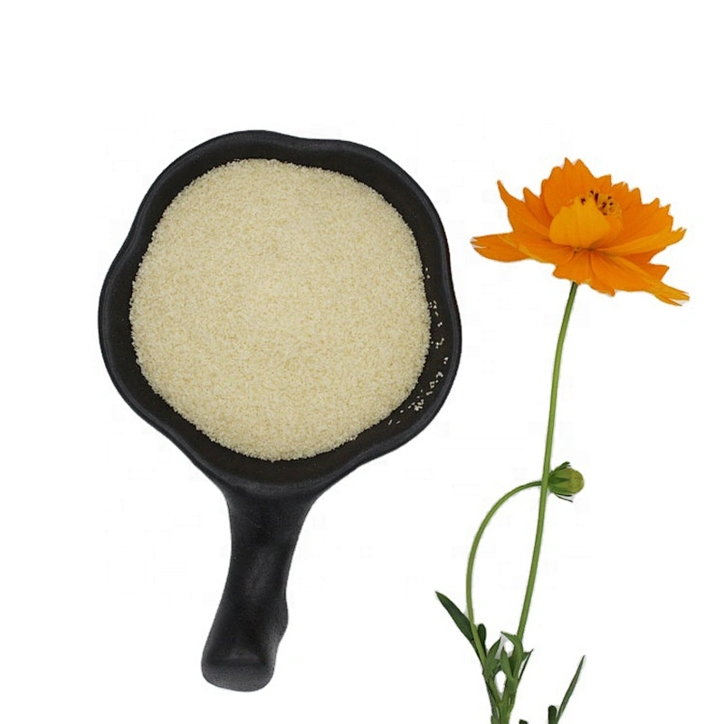 2024 new arrival manufacturer edible gelatin 20kg/bag 120 240 250 bloom gelatina